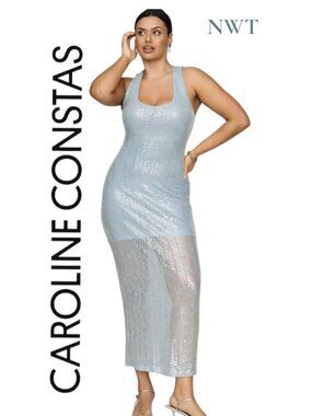 NWT Caroline Constas Stassi Shimmer Lace Sheer Dress Size 1X